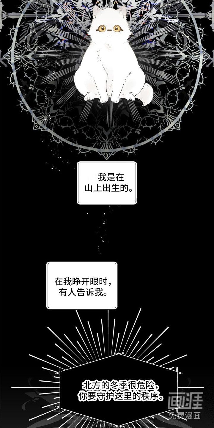 第14章：绒球