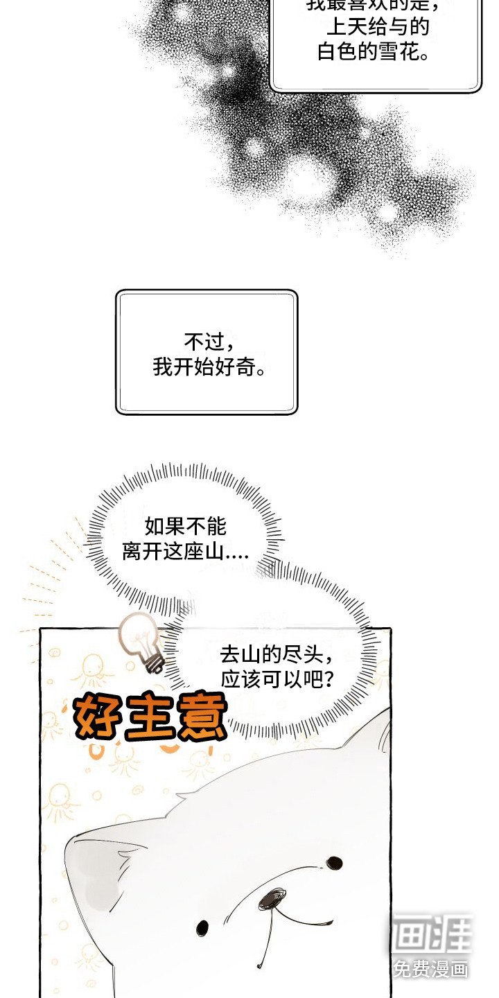 第14章：绒球