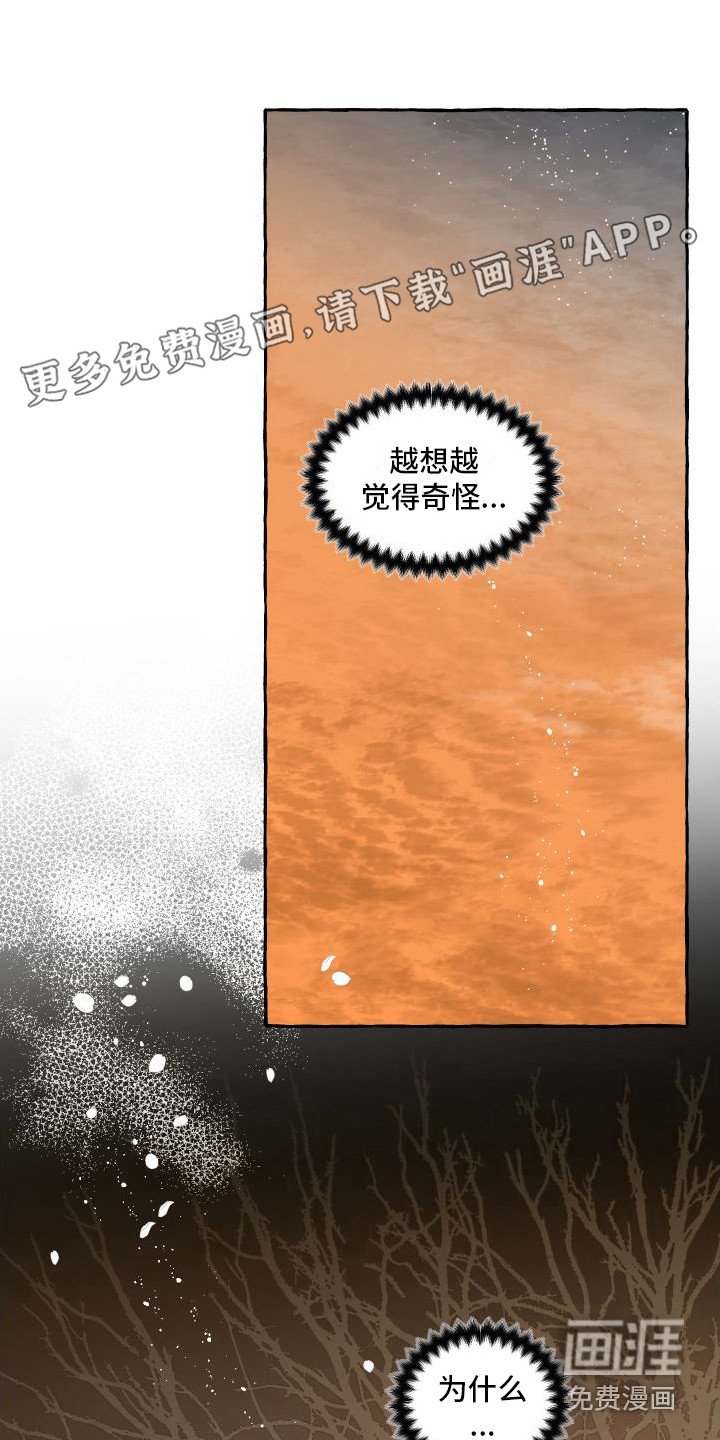 第16章：感到混乱