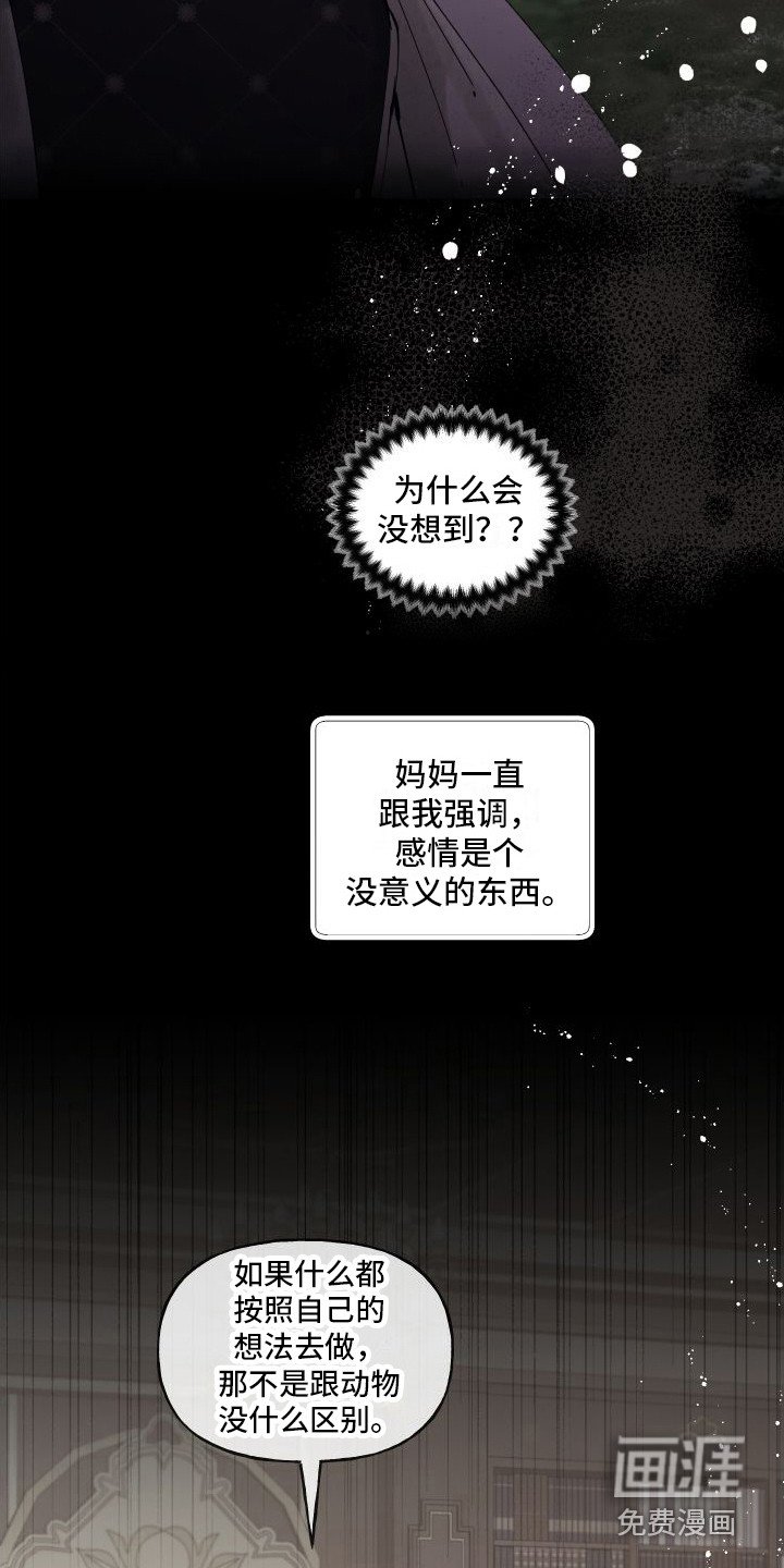 第16章：感到混乱