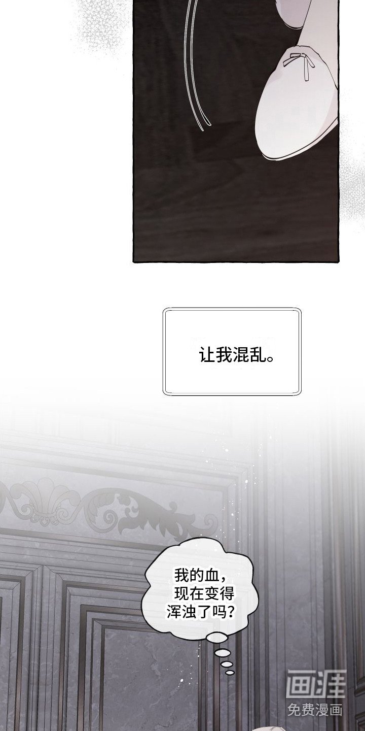 第16章：感到混乱