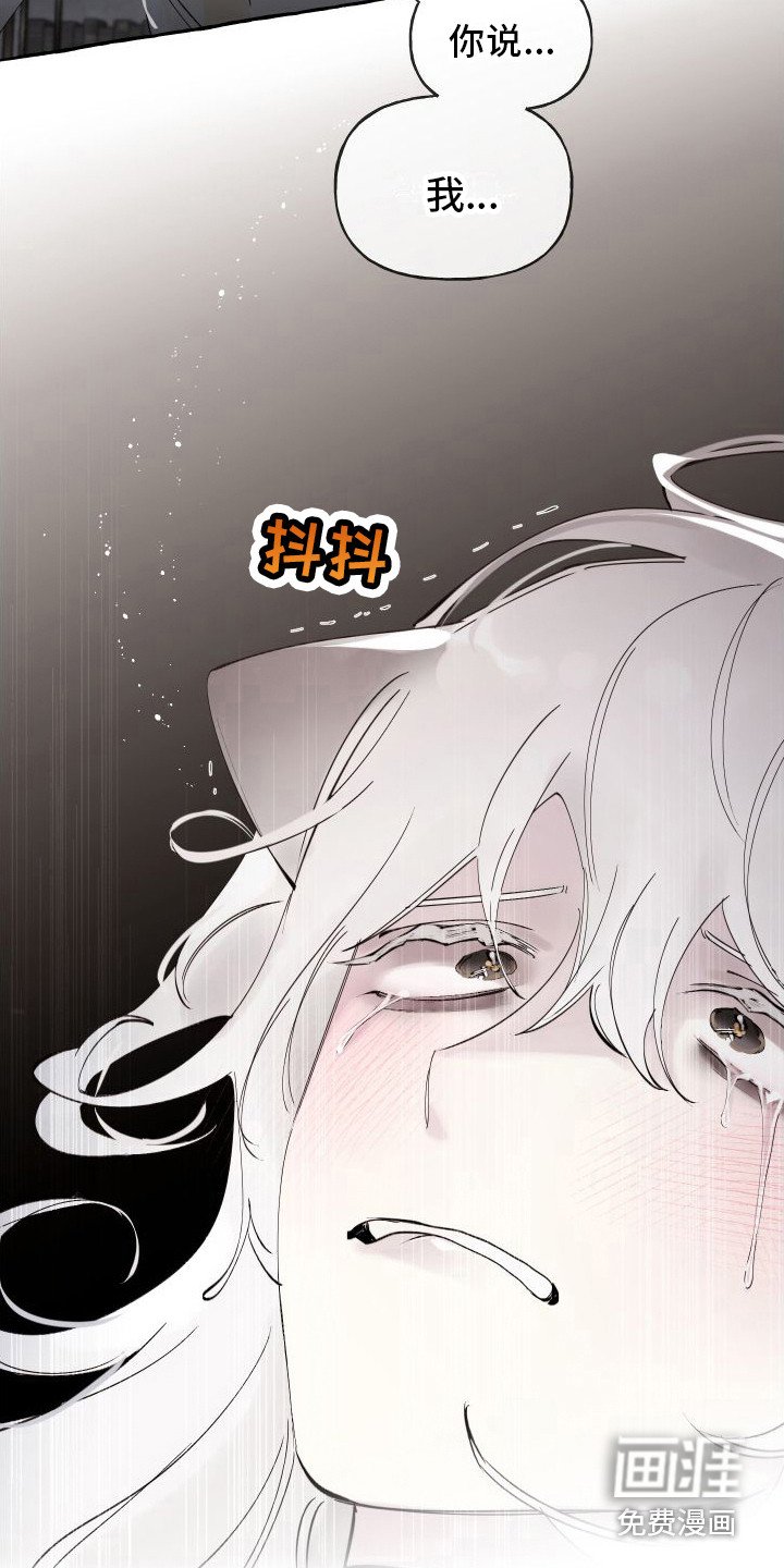 第17章：步步紧逼