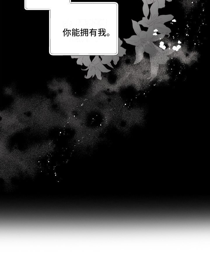 第19章：我的春天（完结）