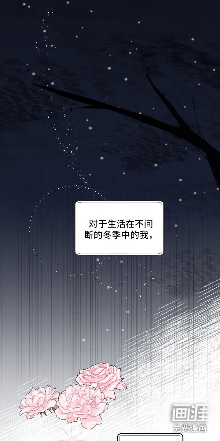 第19章：我的春天（完结）