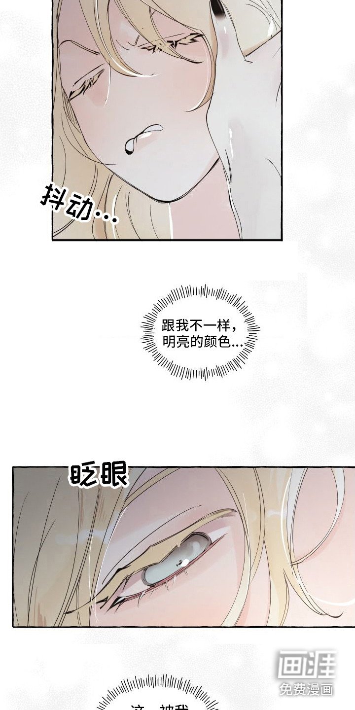 第19章：我的春天（完结）