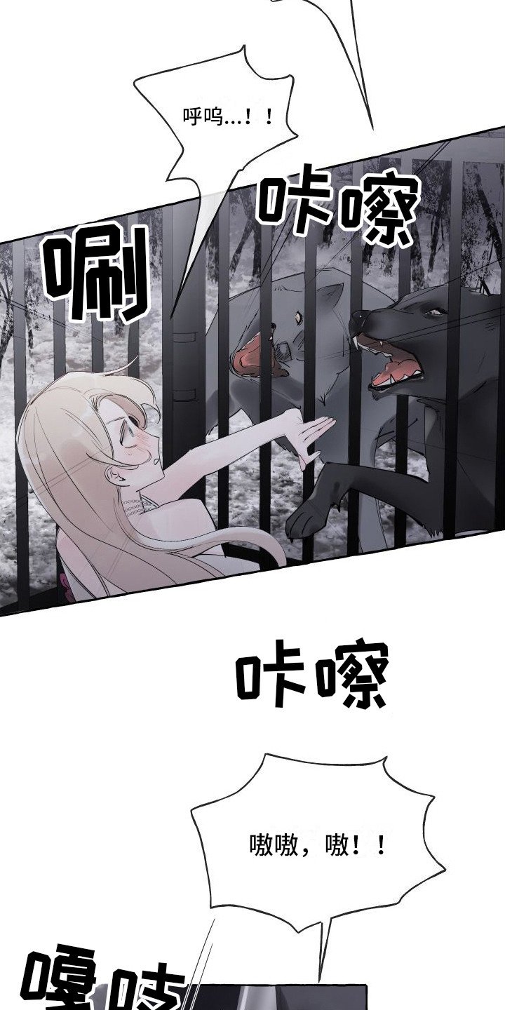 第3章：白色巨狼