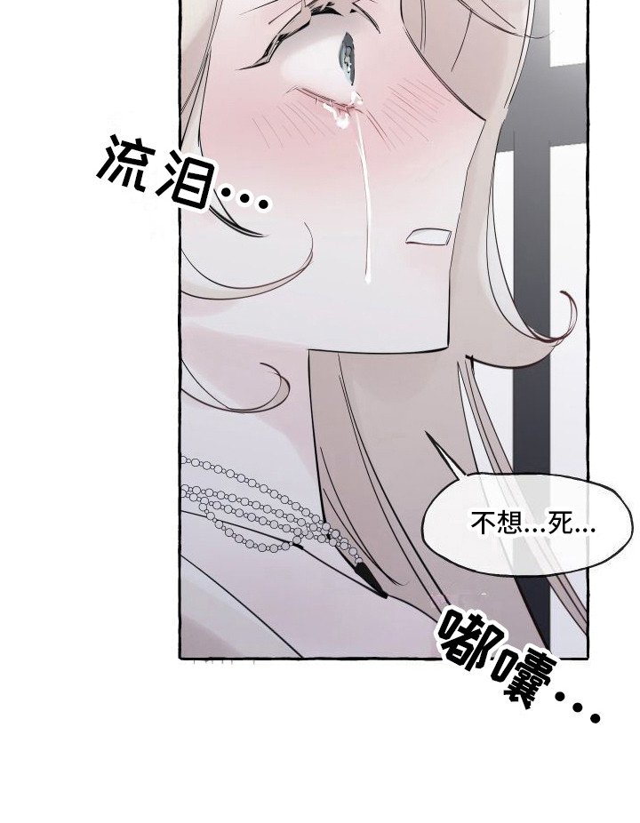 第3章：白色巨狼