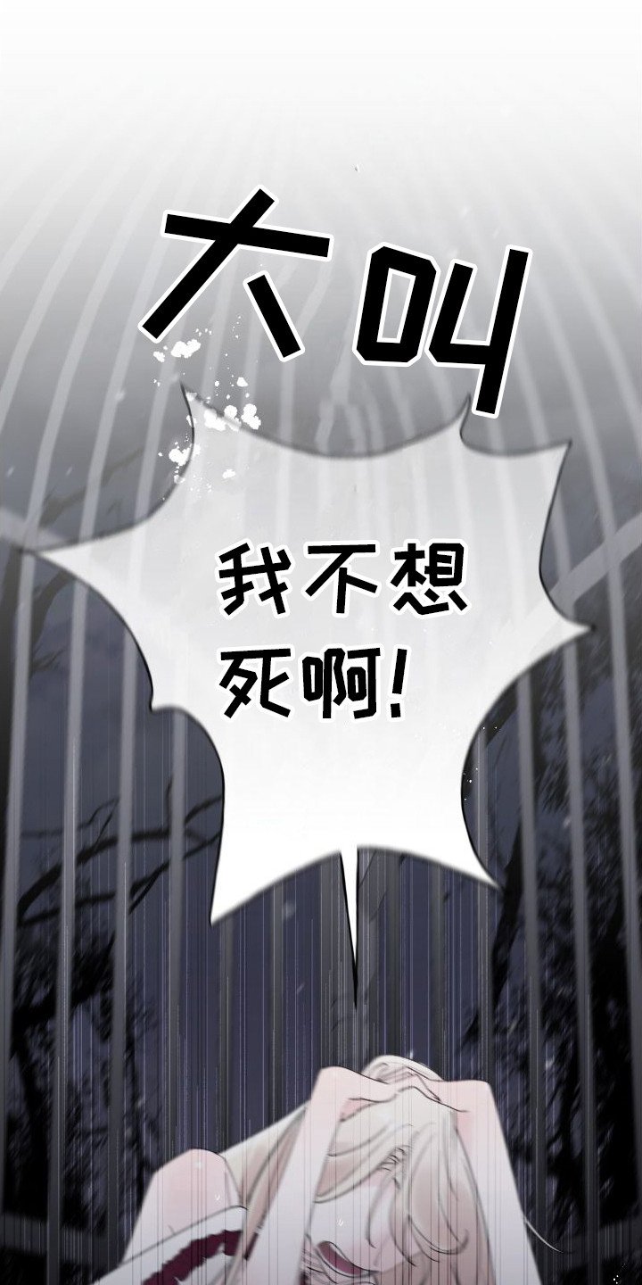 第3章：白色巨狼