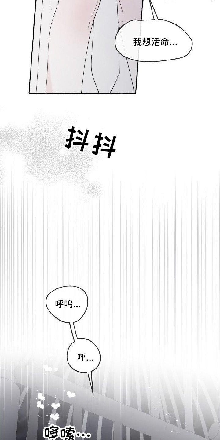第3章：白色巨狼