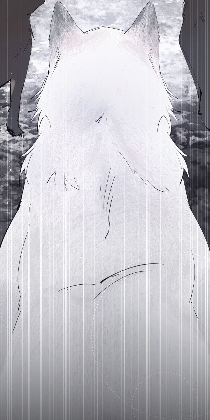 第3章：白色巨狼