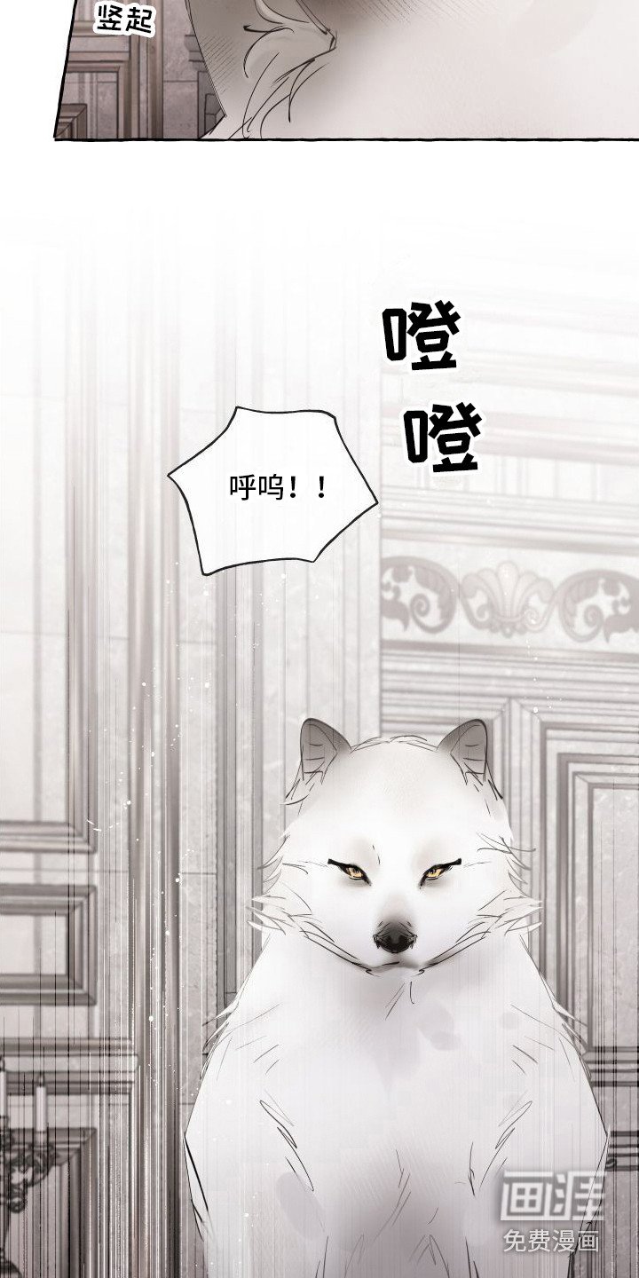 第4章：还活着
