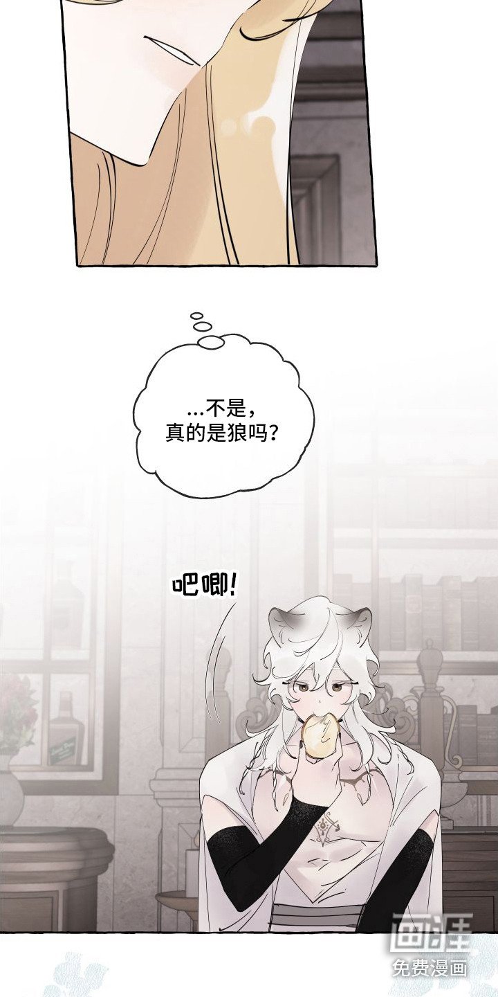 第5章：窝棚