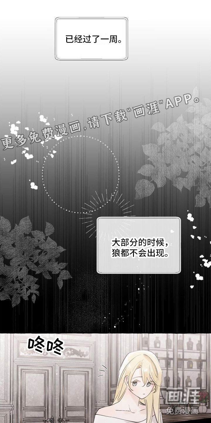 第8章：地图
