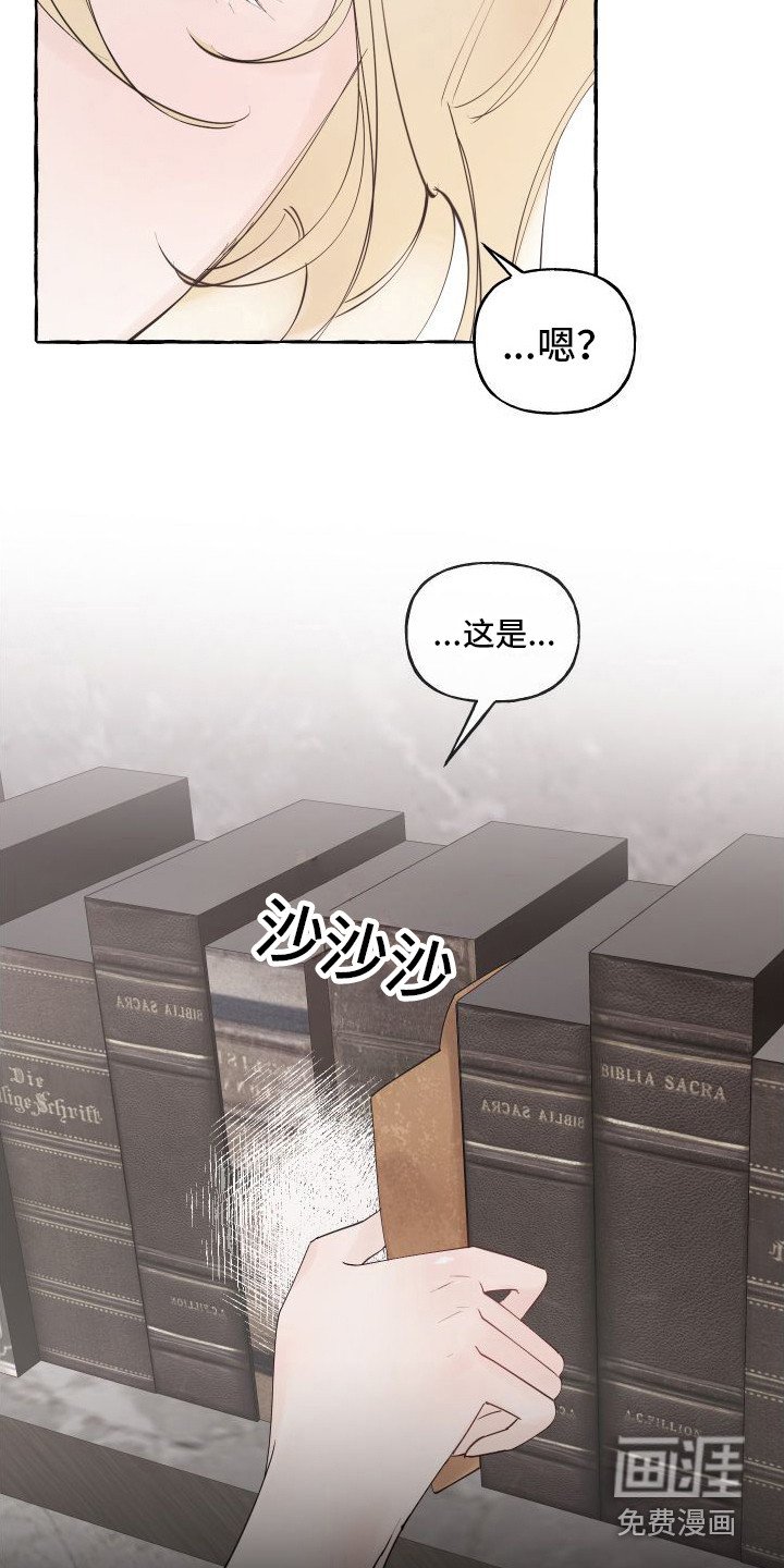 第8章：地图