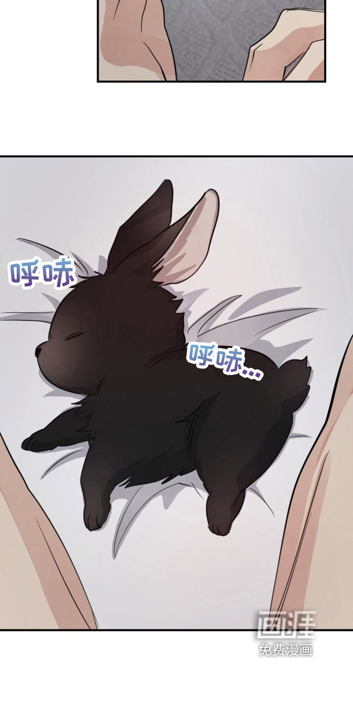 第7章：清醒