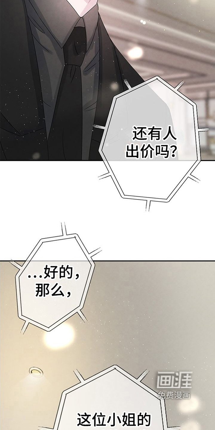 第12章：高价带走