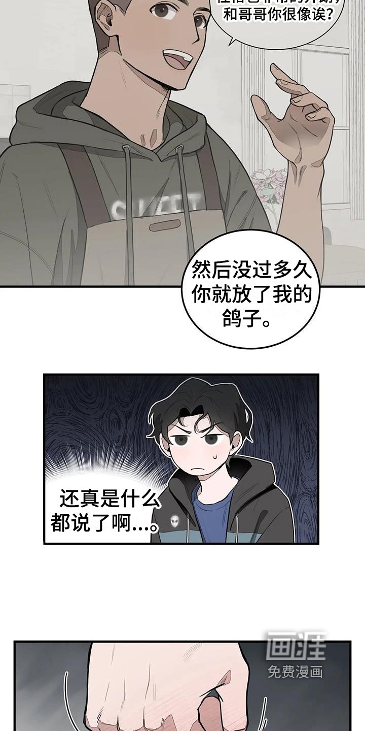 第11章：模样