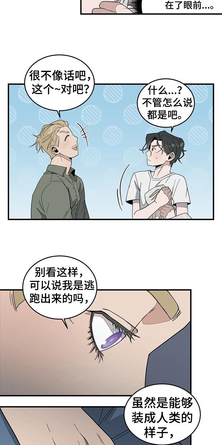 第2章：来客