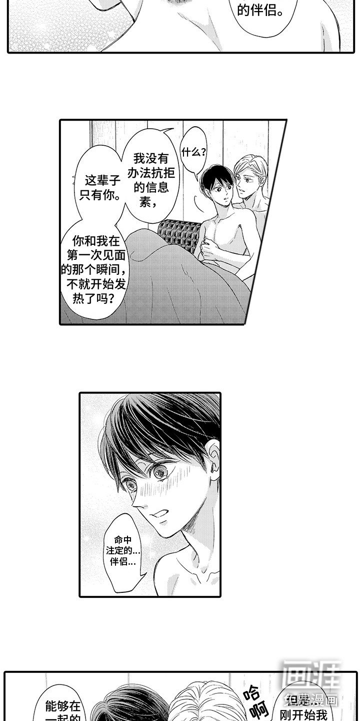 第24章：伴侣（完结）