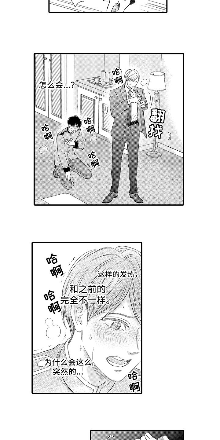 第3章：再次见面