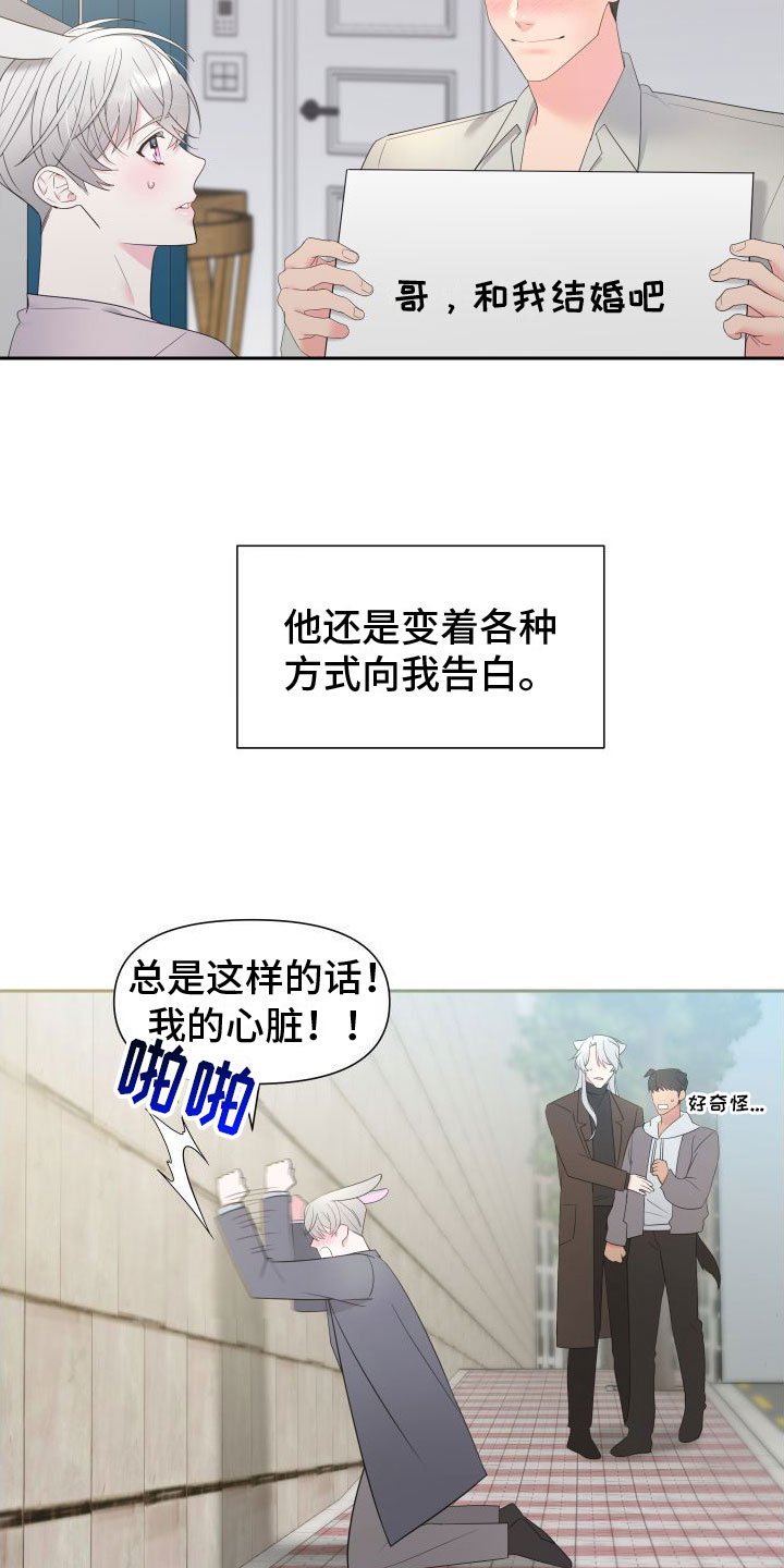 第1章：令人困扰的告白