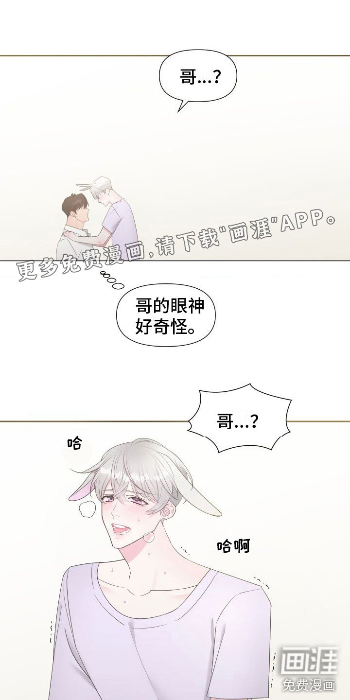 第5章：我爱你【完】