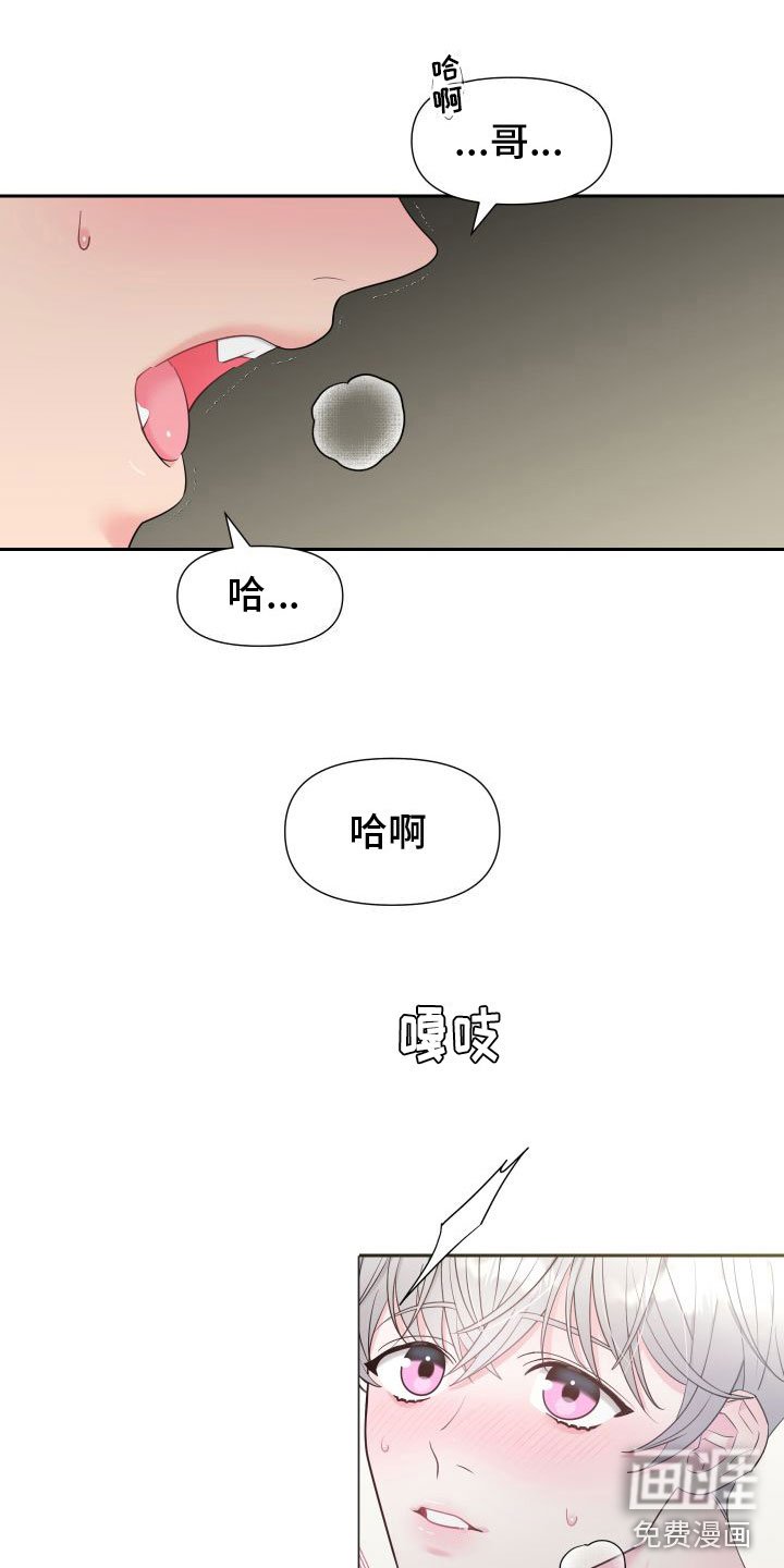 第5章：我爱你【完】