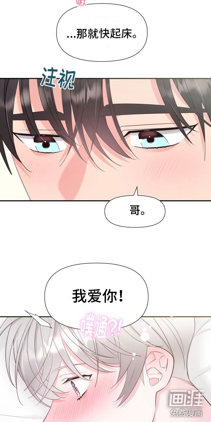 第5章：我爱你【完】