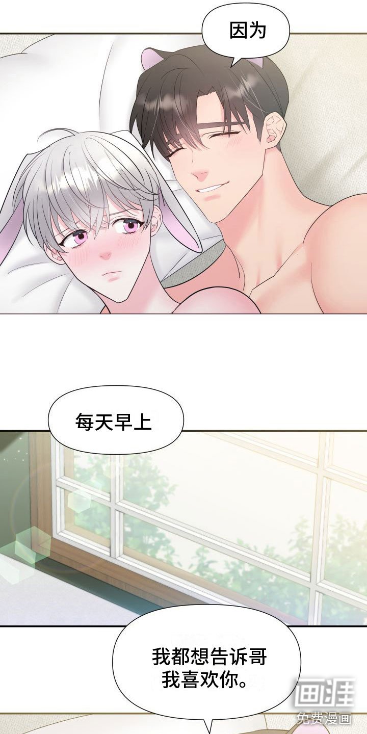 第5章：我爱你【完】