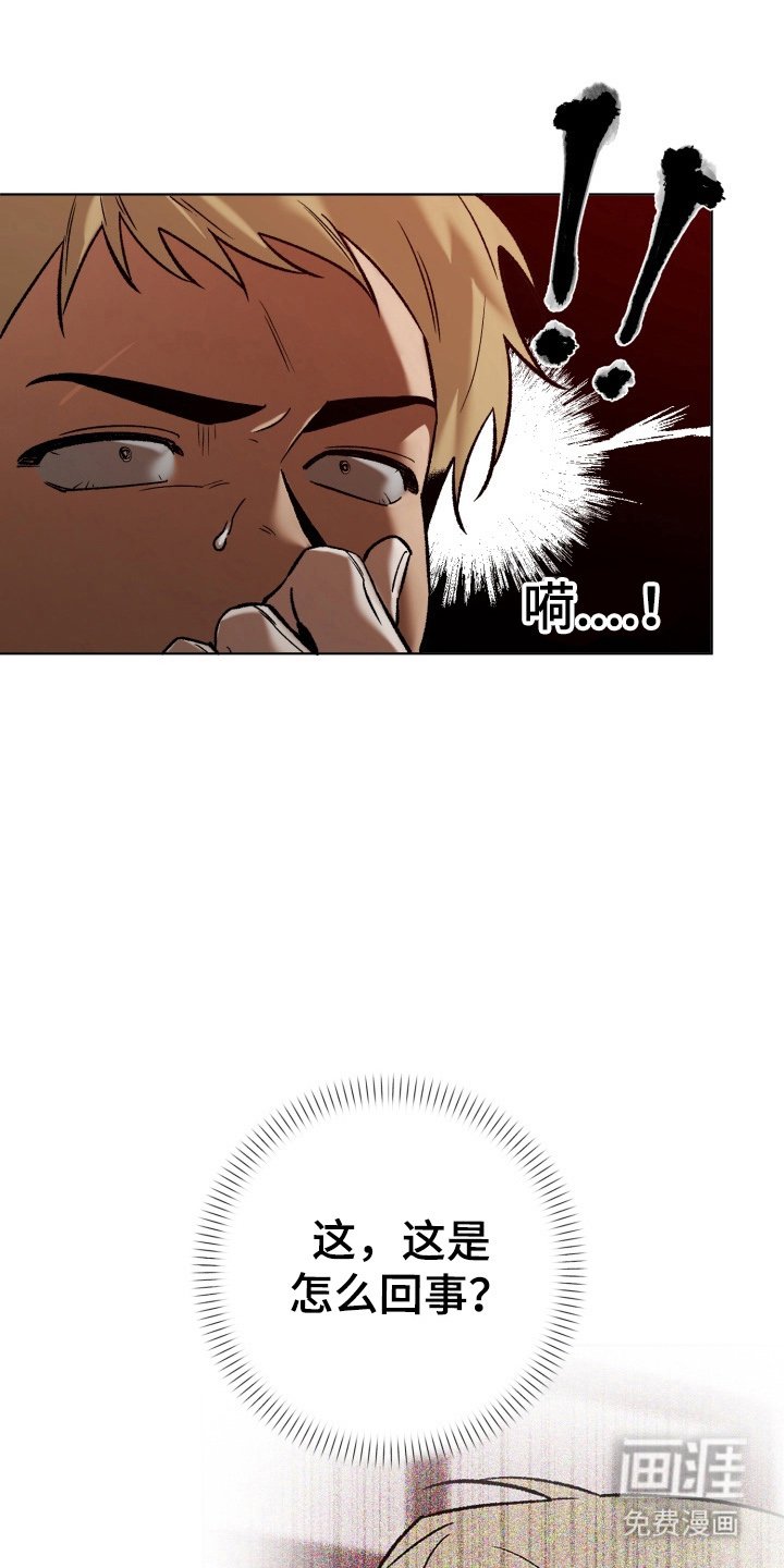 第14章：难道说