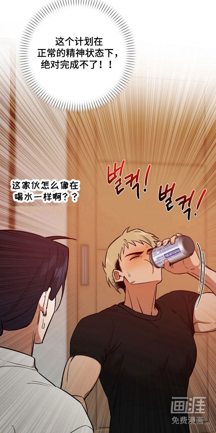 第19章：作战开始