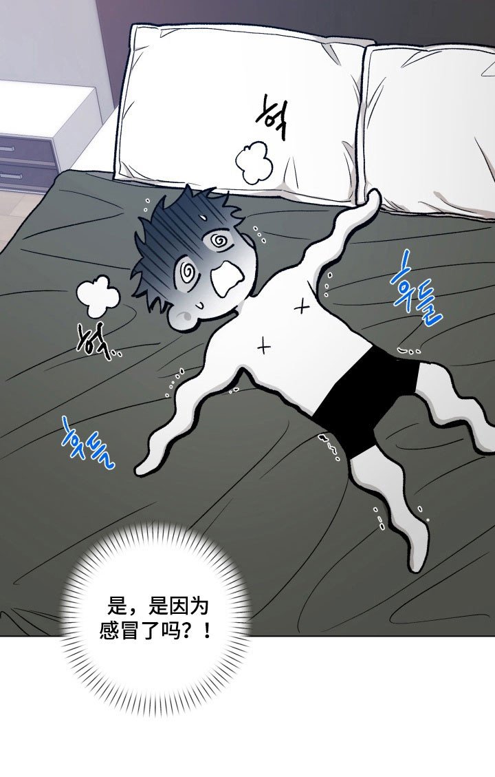 第21章：感冒