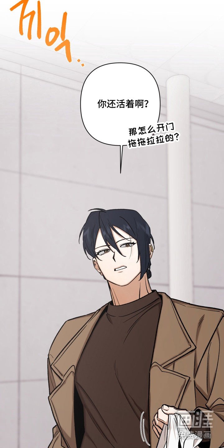第22章：再次回来