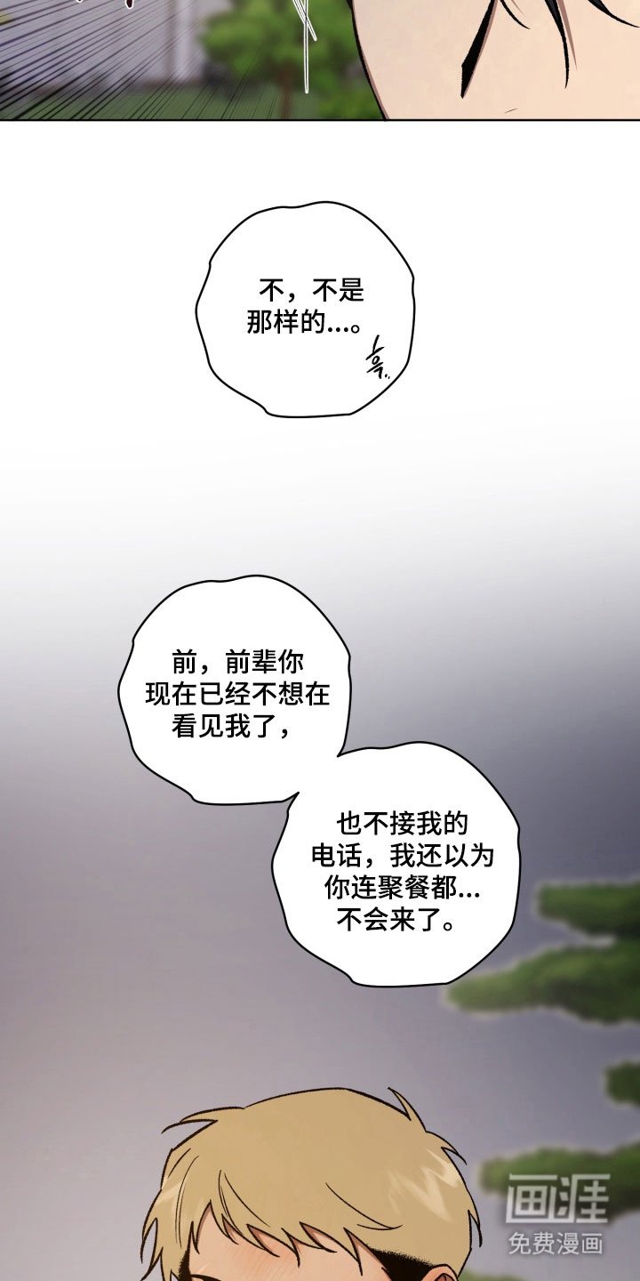 第41章：告白话题