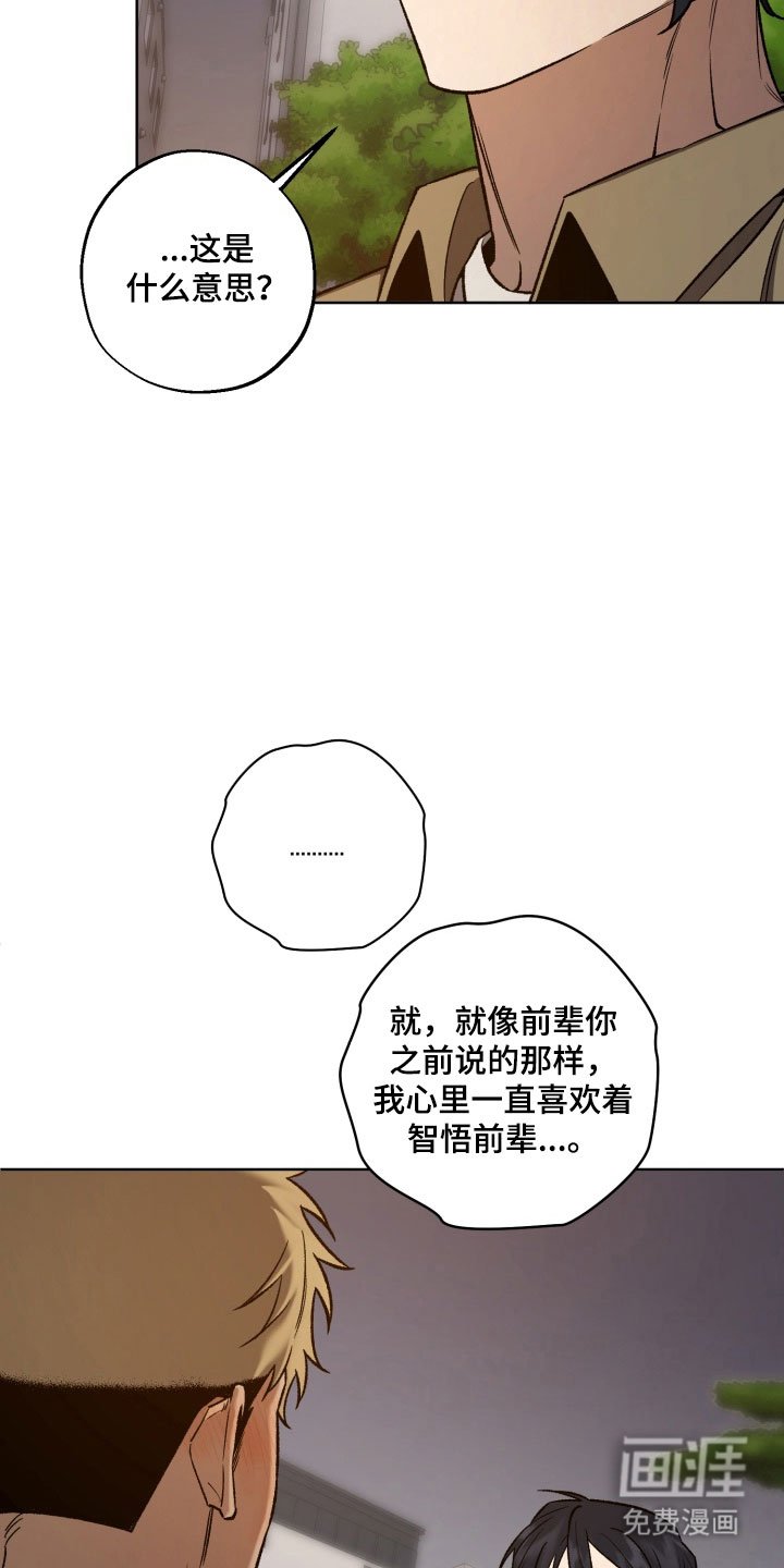 第41章：告白话题