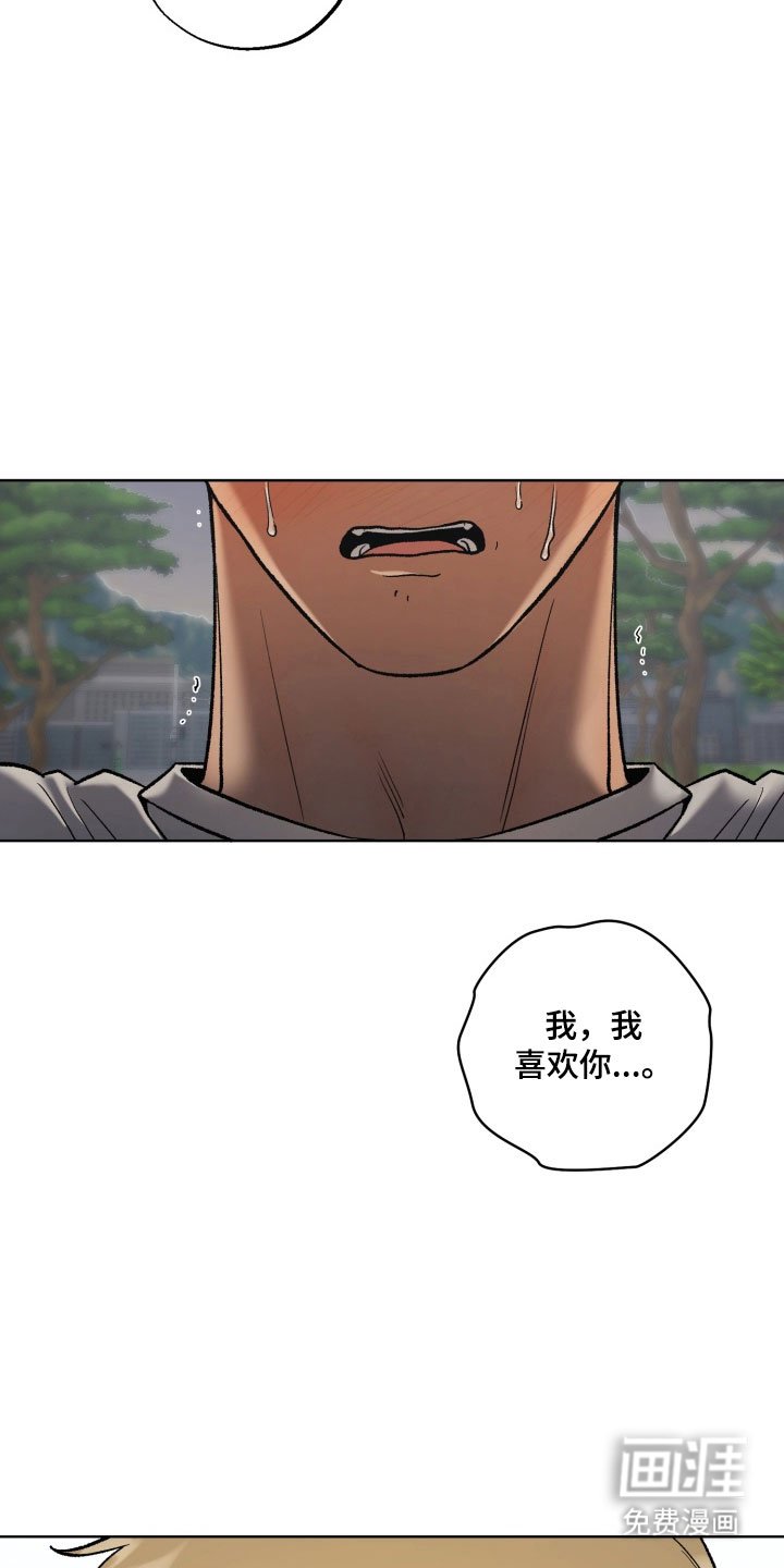 第41章：告白话题