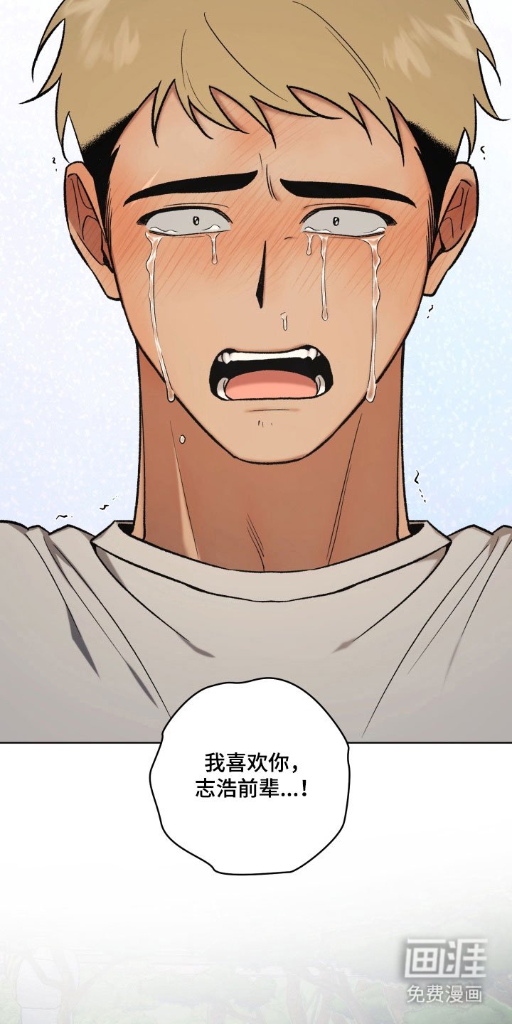 第41章：告白话题