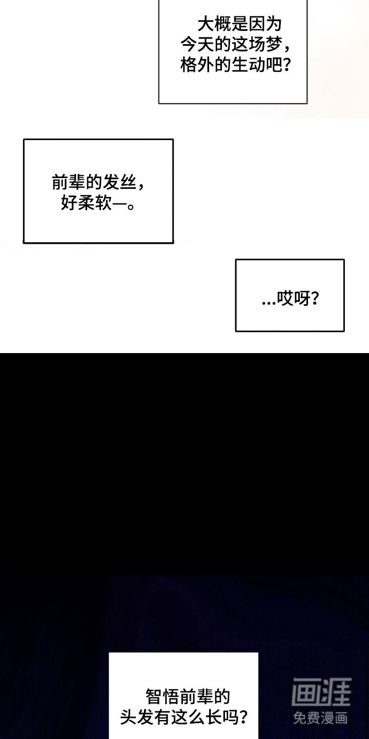 第5章：做梦一样