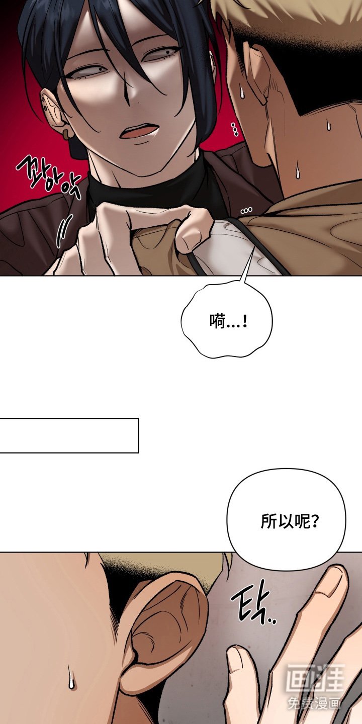第8章：作战方案