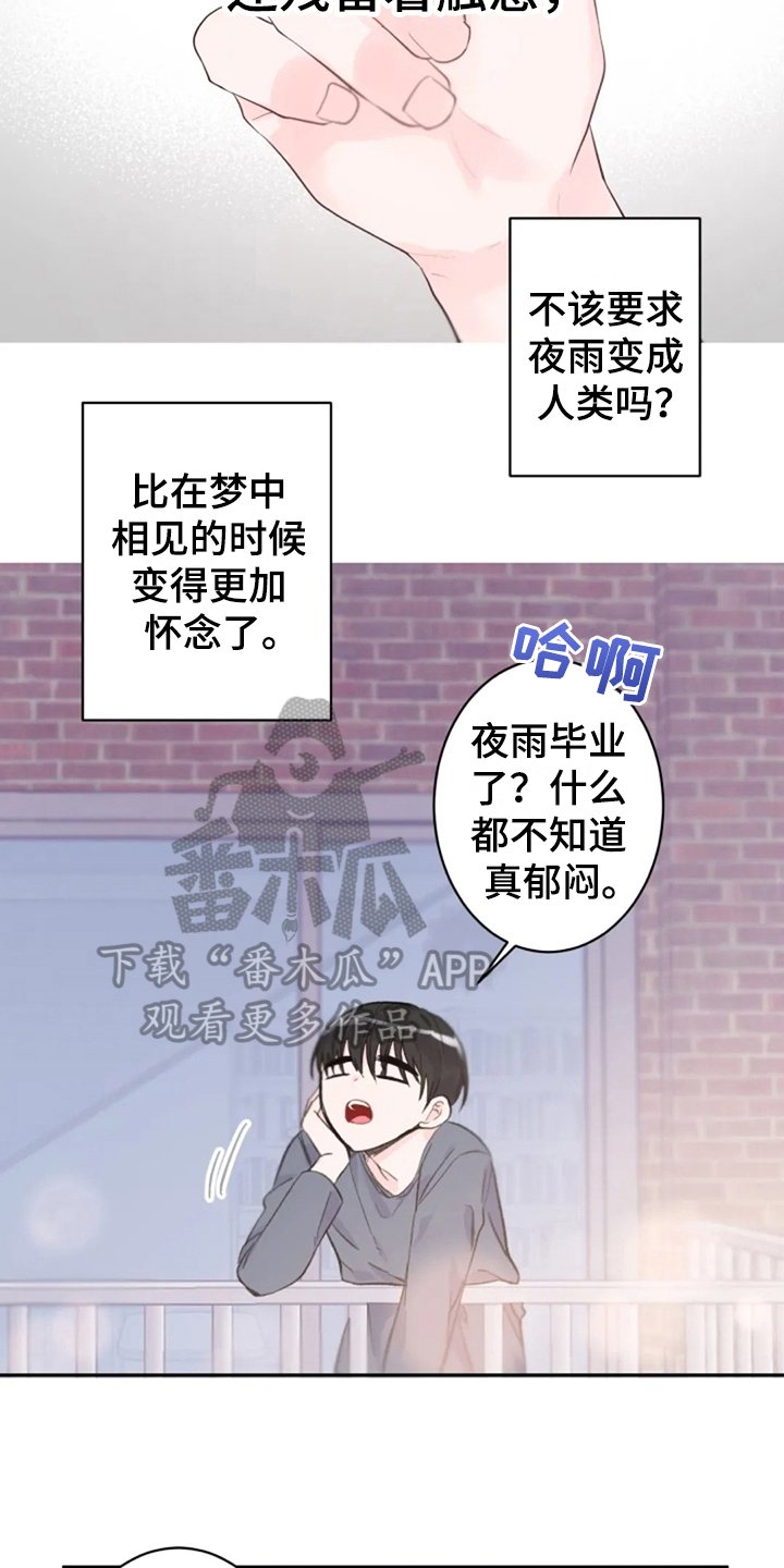 第10章：回来了