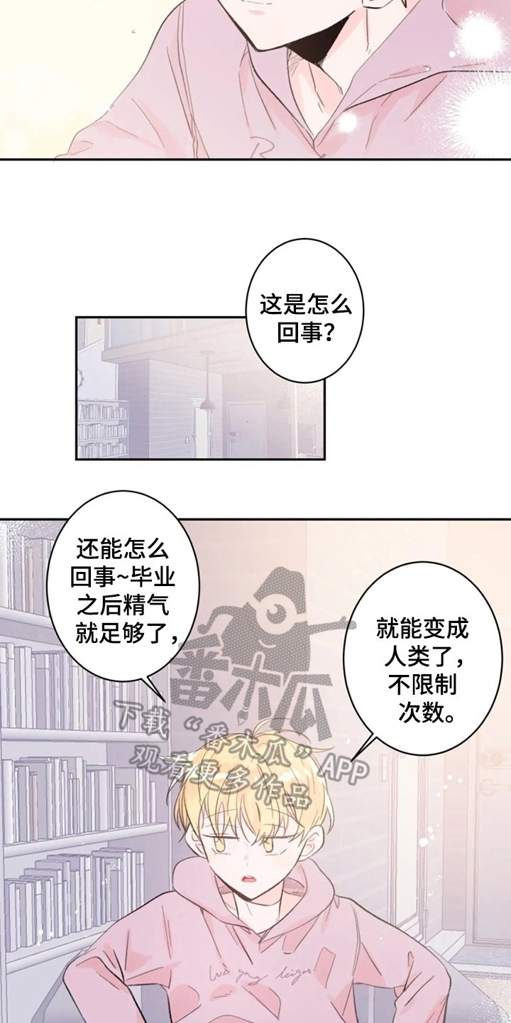 第10章：回来了