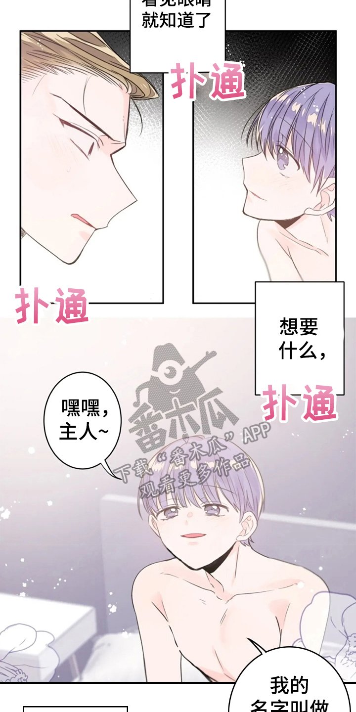 第14章：寻找