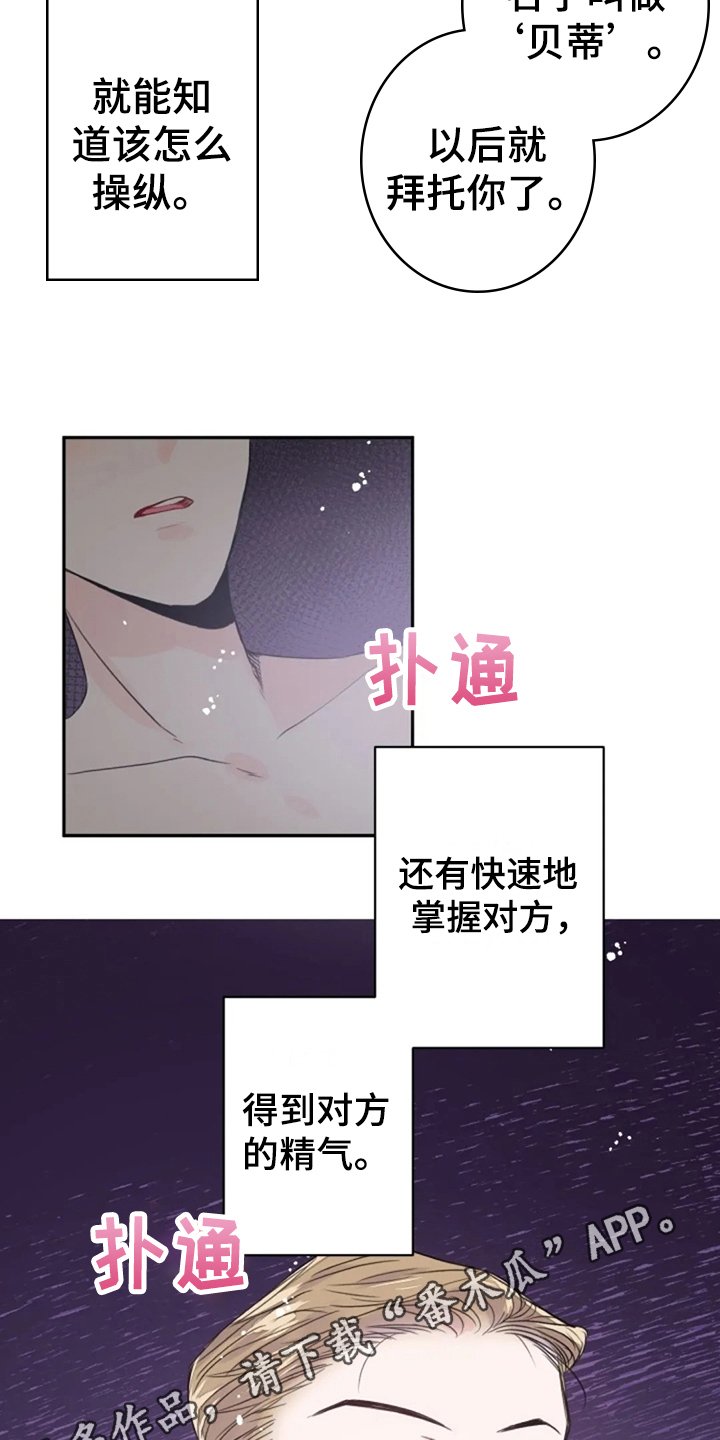 第14章：寻找