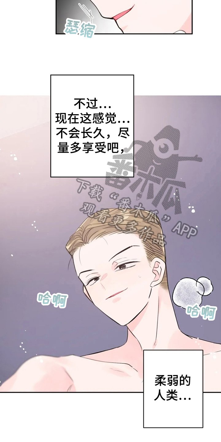第14章：寻找