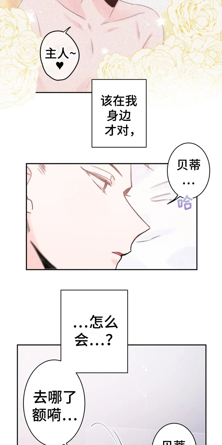 第14章：寻找