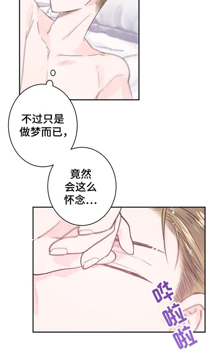 第14章：寻找