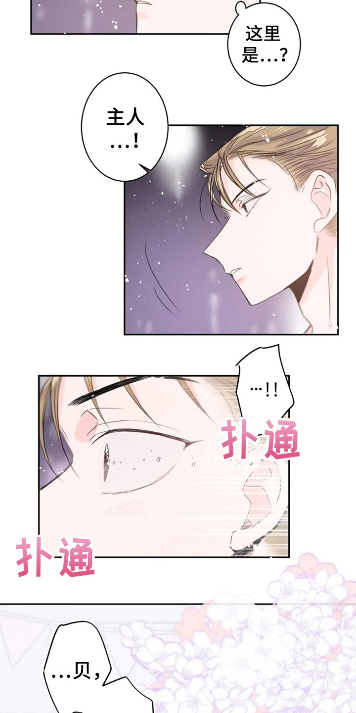第15章：感官共享
