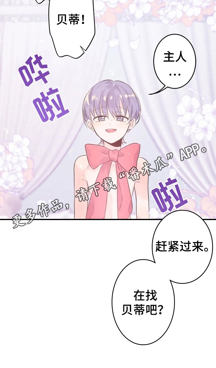 第15章：感官共享