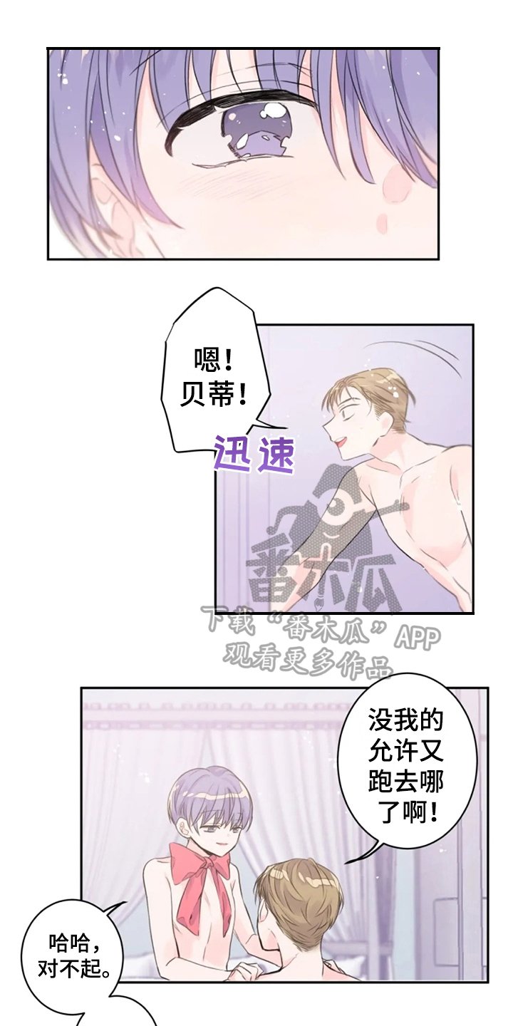 第15章：感官共享