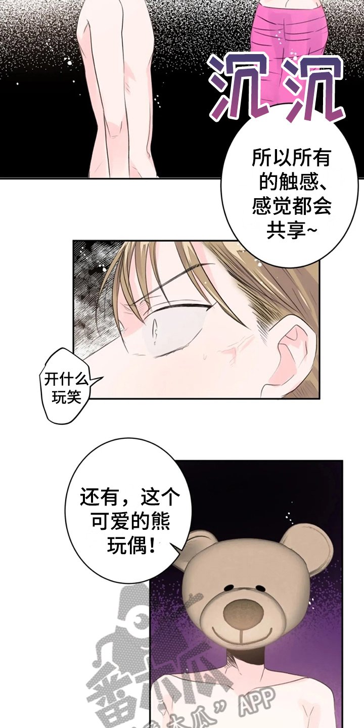 第15章：感官共享